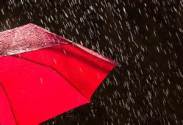 rain umbrella